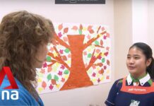 Can Japan, South Korea shake off ‘xenophobic’ and ‘racist’ labels in bid to welcome foreign workers? 13 May 2024