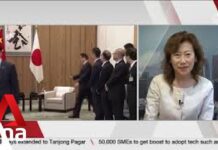 Ruling parties of Japan and China seek to improve ties by deepening dialogue, 29 May 2024