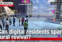 Japan’s population crisis: Can digital residents spark rural revival?ーNHK, 11 June 2024
