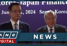 Japan, South Korea vow to take steps to defend their currencies, 25 June 2024