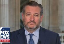 Ted Cruz: There’s not a single Senate Democrat that cares about securing the border, 24 May 2024