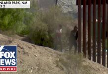 ‘ENOUGH IS ENOUGH’: Official demands action on border crisis, 25 May 2024