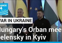 Orban calls for Ukraine ceasefire to speed up peace talks on Kyiv visit, 2 July 2024