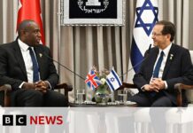UK foreign secretary urges immediate ceasefire in Gaza during Israel visit, 15 July 2024