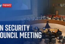 UN Security council meeting on threats to international peace and security, 22 July 2024