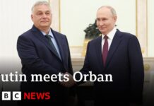 EU’s most Russia-friendly leader meets Putin in Moscow, 5 July 2024