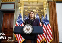 Harris outlines Gaza cease-fire steps after meeting with Israeli Prime Minister Netanyahu, 26 July 2024