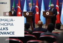 Türkiye conducts ‘positive’ Somalia-Ethiopia shuttle diplomacy, 14 August 2024