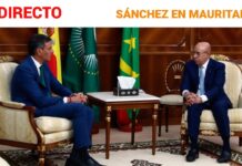 Pedro Sánchez: Asegura en Mauritania que la Migración «no es un problema sino una necesidad», 28 agosto 2024