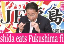 Kishida inspects Fukushima one year after start of water release, 26 August 2024