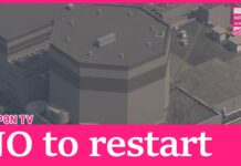 Nuclear Regulators say ‘No’ for the 1st time on restart of Tsuruga power plant’s no.2 reactor, 13 November 2024