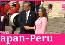 Leaders confirm strengthening cooperation between Japan and Peru, 18 November 2024