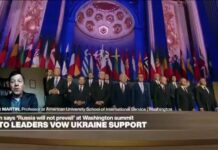 Trump could have a ‘disastrous effect’: ‘NATO is on the ballot in the 2024 US Presidential Election’, 10 July 2024