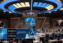 Meeting of the NATO-Ukraine Council at the NATO Summit in Washington, D.C., 11 July 2024