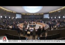 Ukraine crisis and Indo-Pacific partnerships top agenda of upcoming NATO summit, 9 July 2024