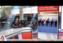 NATO and Indo-Pacific partners to step up cooperation at summit, 11 July 2024
