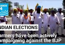 Punjab’s farmers hope for a change in government, 1 June 2024
