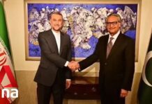 Pakistan and Iran agree to expand security cooperation, de-escalate tensions, 29 January 2024