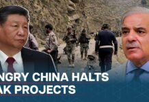 China Halts Projects in Pakistan After Deadly Suicide Attack, 30 March 2024