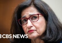 Columbia University president resigns in wake of pro-Palestinian campus protests, 15 August 2024