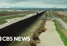 Why border crossings have dropped at southern border, 17 August 2024