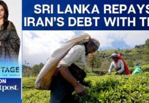 Sri Lanka Exports Tea to Pay off Iranian Oil Debt, 21 February 2024
