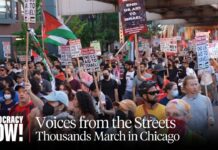 Thousands March Against U.S. Arming of Israel as Harris Accepts Presidential Nomination, 23 August 2024