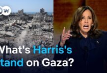 Is Kamala Harris walking her own path on foreign policy? 23 August 2024