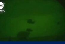 15 ISIS members killed in raid by US troops, officials say, 2 September 2024