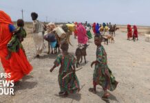 U.S. special envoy on global efforts to aid millions displaced by Sudan’s civil war, 7 September 2024