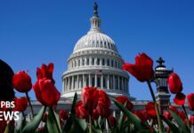 An oversight hearing to examine AI, focusing on insiders’ perspectives., 17 September 2024