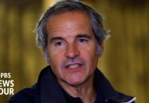 IAEA chief addresses growing nuclear risks in Ukraine and Iran, 25 September 2024