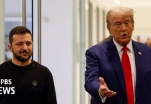 ‘Great honor’ to meet with Ukraine’s Zelenskyy, Trump says, 27 September 2024