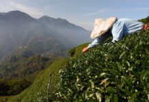 Accelerating Solutions at the Intersection of Climate Change and Food Security, 24 September 2024