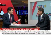 Countries at risk of missing 2030 renewable energy target: IRENA, 21 October 2024