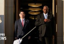 Austin meets with South Korean counterpart amid reports North Korean troops in Russia, 30 October 2924