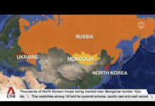 Russia-Ukraine war: Thousands of North Korean troops being trained near Mongolian border, says Kyiv, 17 October 2024