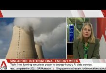 Global nuclear capacity must triple to meet climate goals: World Nuclear Association, 22 October 2024