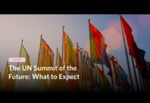 The UN Summit of the Future: What to Expect, 16 September 2024