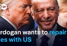 Erdogan eyes reset in relations after Trump victory, 12 November 2024