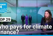 COP 29: Who pays for climate finance? 12 November 2024