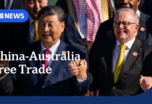 China pushing free trade at G20 ahead of Trump presidency, 18 November 2024