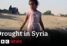 Turkish strikes in Syria cut water to one million people, 19 November 2024