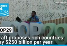 COP29 draft deal proposes rich nations give $250 bn in climate finance, 22 November 2024