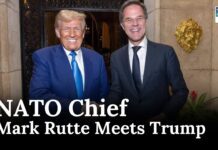 NATO Secretary General Rutte Meets Donald Trump to Discuss Global Security, 23 November 2024