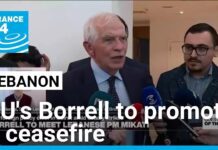 EU’s Borrell tries to persuade Israel, Hezbollah to accept U.S. ceasefire proposal, 24 November 2024