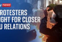 Georgian protests enter seventh day as opposition leader is attacked by police, 4 December 2024