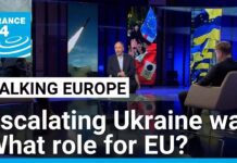 Ukraine war escalates as third anniversary approaches: What diplomatic and military role for EU? 6 December 2024