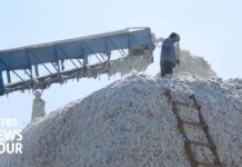 How cotton from Central Asia is helping fuel Russia’s war in Ukraine, 11 December 2024