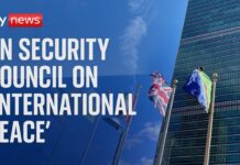 UN Security Council : ‘Threats to International Peace and Security.’, 8 November 2024
